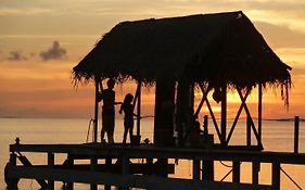 Pension Paparara Dive And Lodge